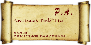 Pavlicsek Amélia névjegykártya